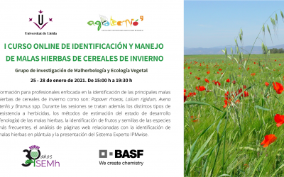 Más de 100 profesionales participan en el ‘I Curso online de identificación y manejo de malas hierbas de cereales de invierno’