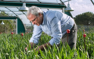 Gustavo Slafer announced Crop Science Society of America 2019 Award Recipient