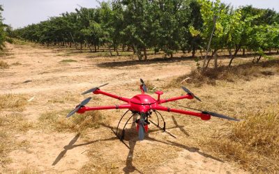 Agrotecnio and GRAP develop a project for 3 years of photon and drone based sensors, at the service of fruit trees management