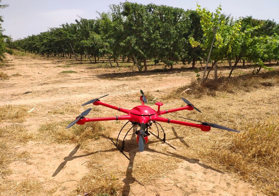 Agrotecnio and GRAP develop a project for 3 years of photon and drone based sensors, at the service of fruit trees management