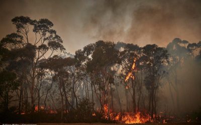 An Agrotecnio researcher takes part in a research that conclude Australia fires show climate change is ahead of schedule