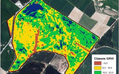 A Research Work (TdR) carried out at the DMACS (AGROTECNIO) awarded with the Youth Research Award of the Generalitat de Catalunya 2017