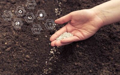 Agrotecnio promotes collaboration and multidisciplinary research among its groups in a new call for “Seed Projects”