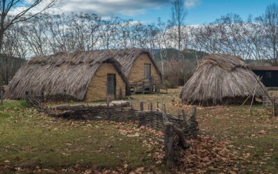 Reconstruction of the environmental conditions and cultivation practices when agriculture first emerged in Western Europe