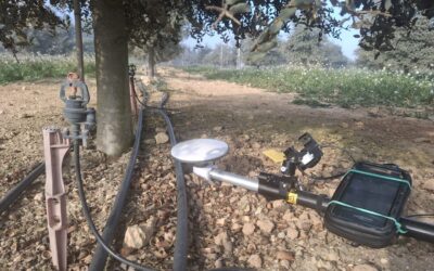 Agrotecnio and CTFC collaborate in a project to apply precision agriculture to black truffle cultivation